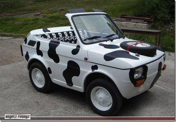 xuning bizarrices automotivas (33)