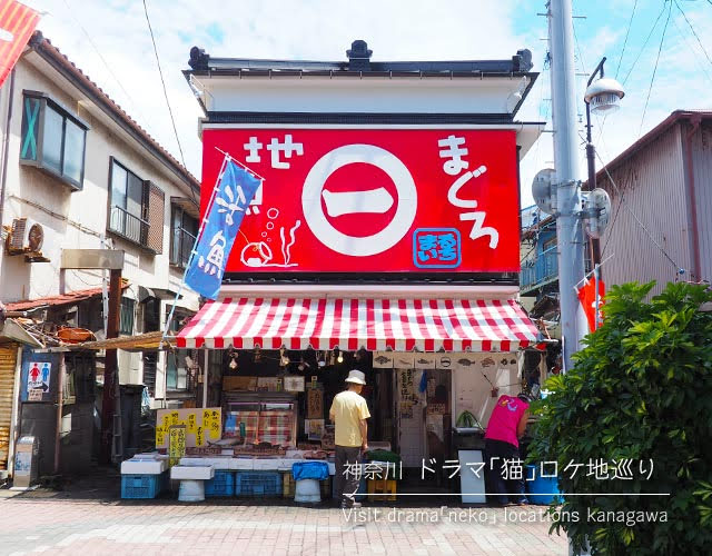 ドラマ「猫」のロケ地を訪ねて三浦半島へ