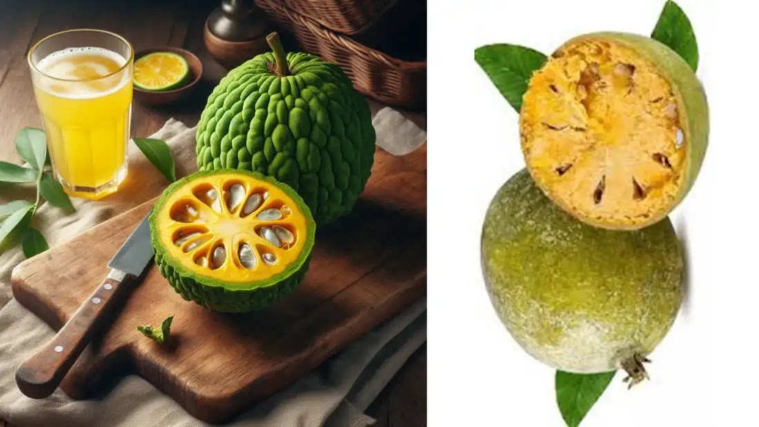 বেল খাওয়ার ১৪ উপকারিতা ও অপকারিতাঃ (বেল পাতার উপকারিতা)