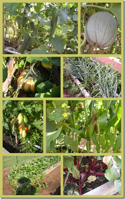 Yard-Garden