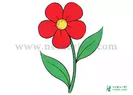 Flower picture drawing - Flower picture - Flower pic 2023 picture - Flower picture download - Various flower pictures - fuller chobi - NeotericIT.com - Image no 14