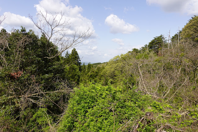 鳥取県西伯郡伯耆町丸山