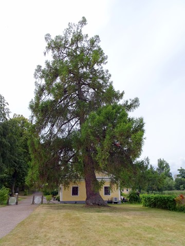 DSC01473