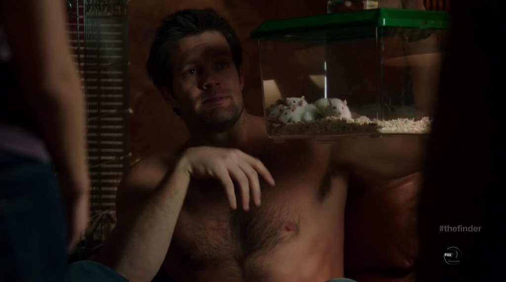 Geoff Stults is shirtless in the episode The Inheritance of The Finder