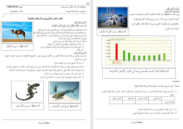 اختبار السنة الثانية متوسط الفصل الثاني علوم طبيعية WORD