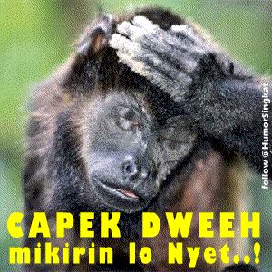 Gambar bergerak keren utk blackberry update Status DP BBM 