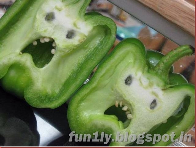 fun1ly.blogspot.in (12)