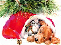 Christmas Cards online