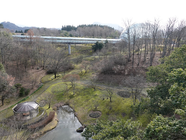 とっとり花回廊　花の谷