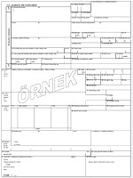 customs declaration