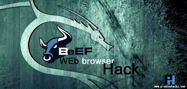 kali-linux-hack-web-browser-using-BeFF- picateshackz.com