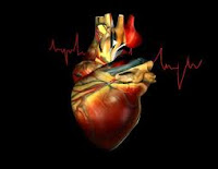 Myocarditis Causes