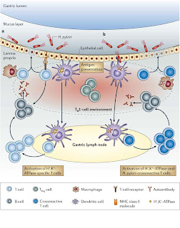 How to solve chronic gastritis?