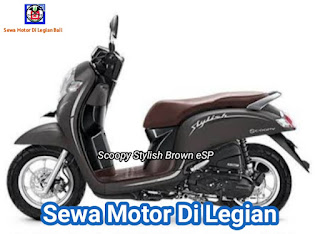 Scoopy Stylish Brown