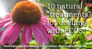 pcos hair loss treatment | treatment for pcos hair loss | pcos natural treatment hair loss |