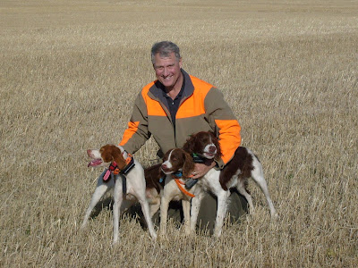 bird dogs and bird hunting