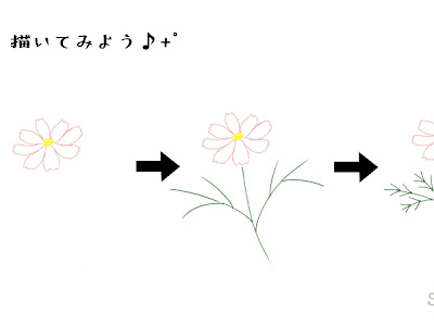 無料ダウンロード かわいい 手書き コスモス イラスト 995620