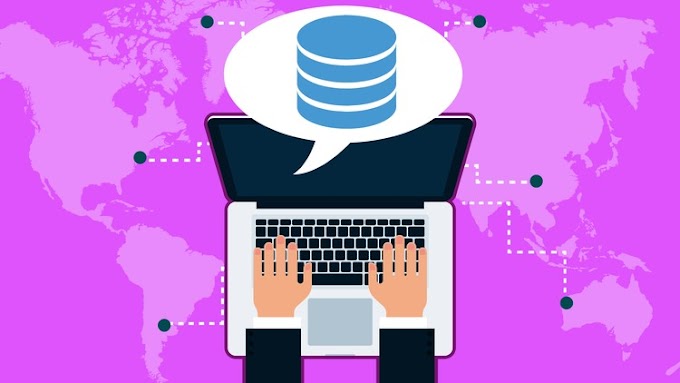 Using SQL for Data Science [100% Off]