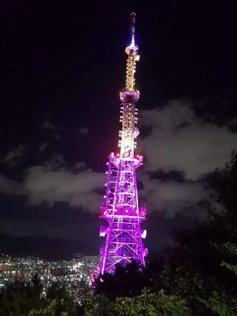 Purple Namsan Tower