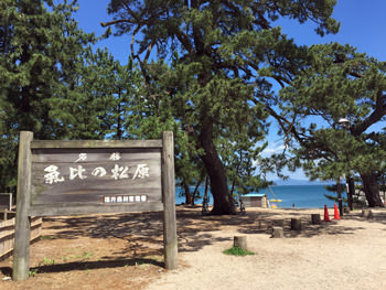 気比の松原海水浴場