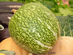 FROITO  DA  HORTA