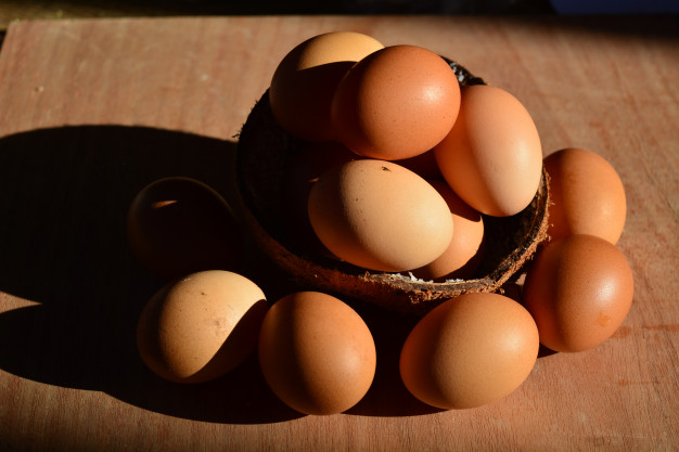 Alimentos con Proteína que te van ayudar a Bajar de Peso