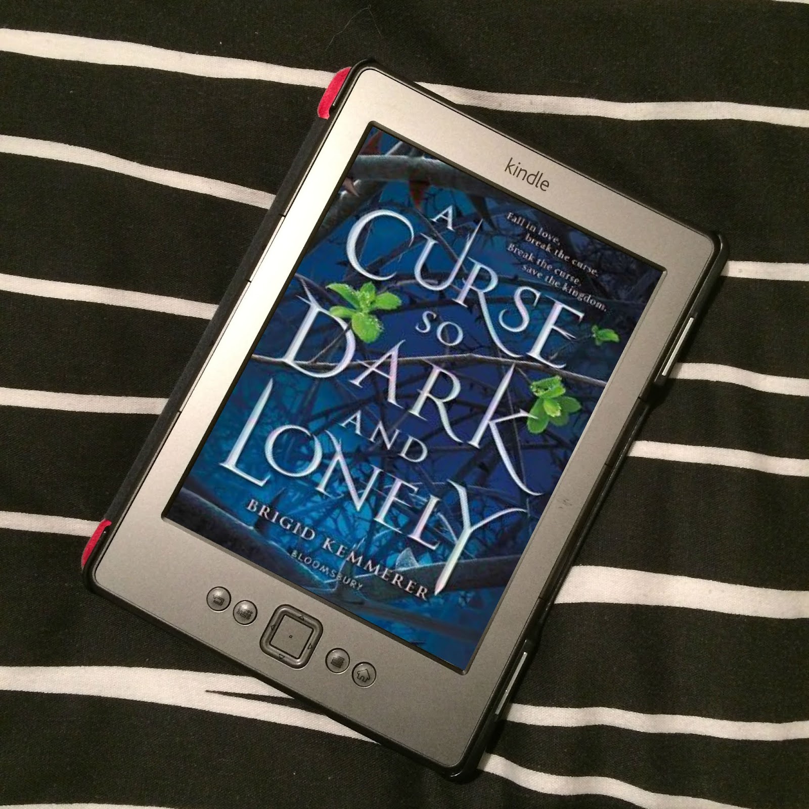 A Curse So Dark and Lonely by Brigid Kemmerer