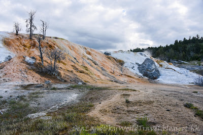 黃石國家公園, Mammoth Hot Springs, yellowstone national park, Palette Spring