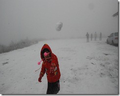 2013-01-27 合歡山-雪之旅 048