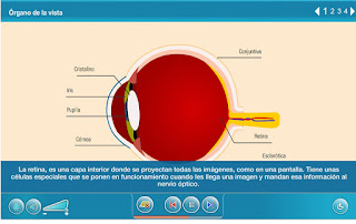 https://www.edu.xunta.es/espazoAbalar/sites/espazoAbalar/files/datos/1327571996/contido/cm008_oa01_es/index.html