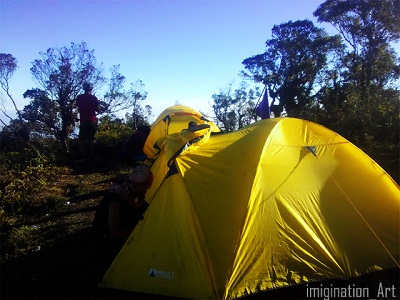 Hutan Alami dan eksotisnya Gunung Rogojembangan Kabupaten 