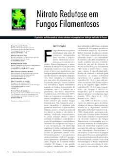 fungos filamentosos