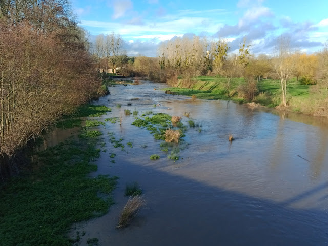 Claise River, Indre et Loire, France. Photo by Loire Valley Time Travel.