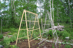 21 Elegant Diy Garden Trellis Designs