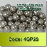 4GP29 copy