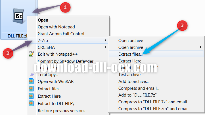 Extract the compressed file FM20.dll in zip format