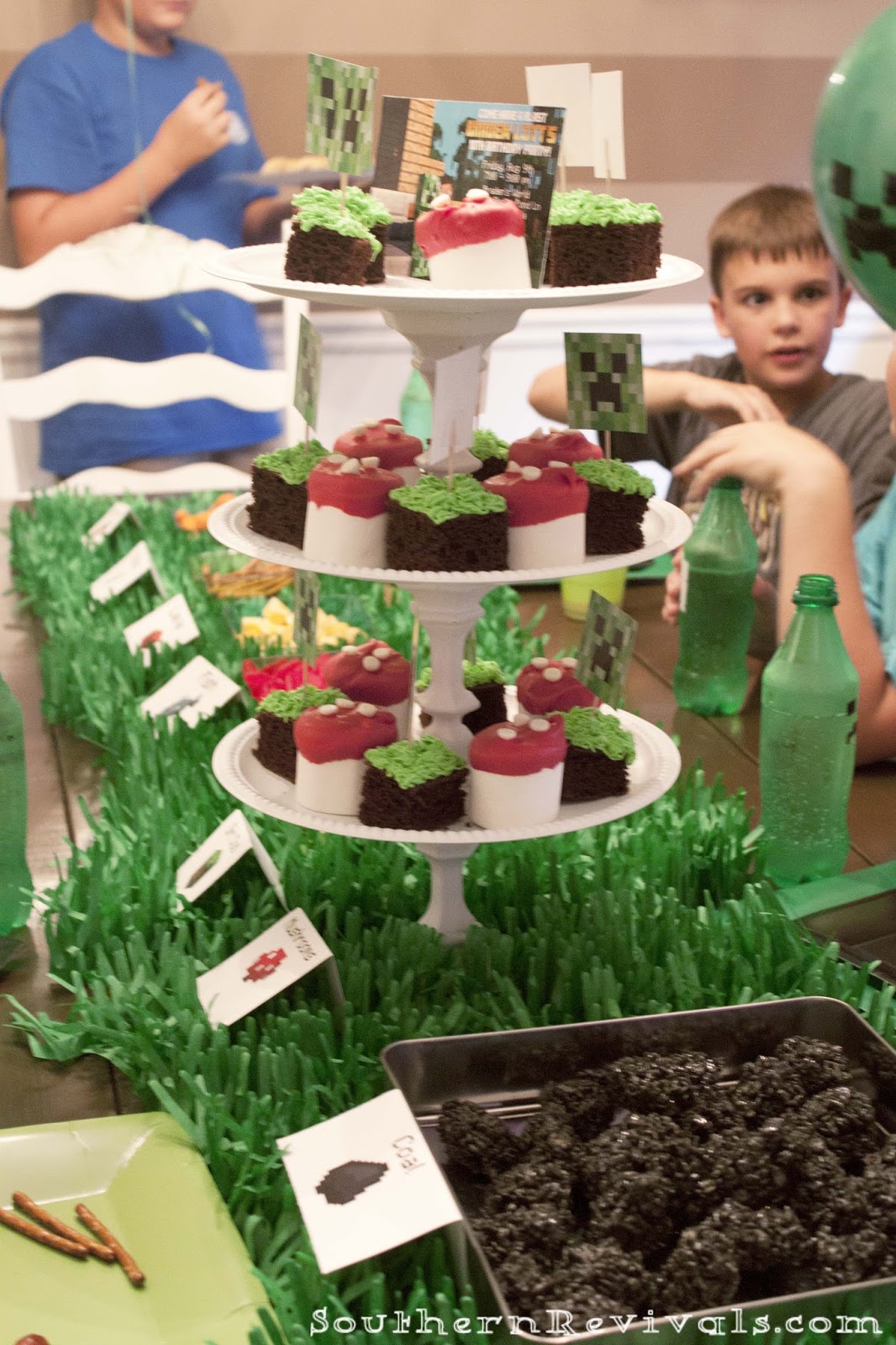  DIY  Minecraft Birthday  Party  craft ideas  party  favors 