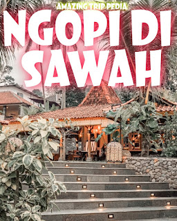 Daftar Menu Ngopi Di Sawah Bogor Jawa Barat