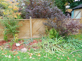 Toronto Fall Cleanup Yonge and Lawrence Backyard before by Paul Jung Gardening Services--a Toronto Gardening Company