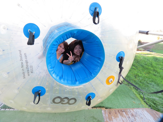 zorb, rotorua, new zealand