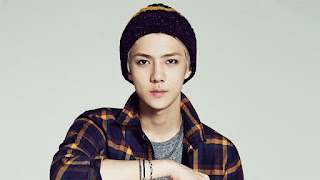 Hasil gambar untuk foto oppa sehun