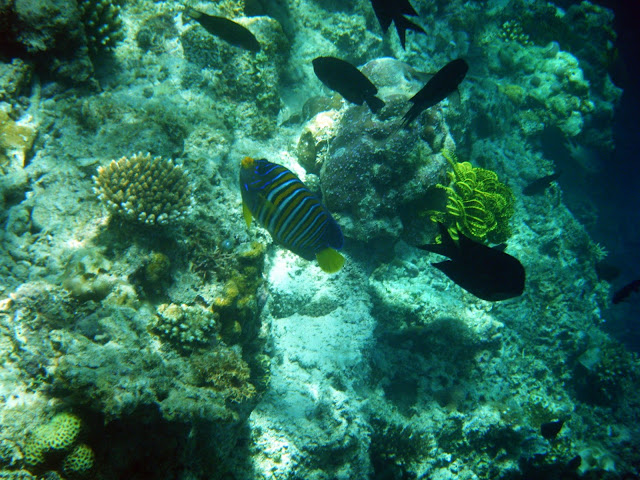 Matinloc Island, El Nido, Palawan