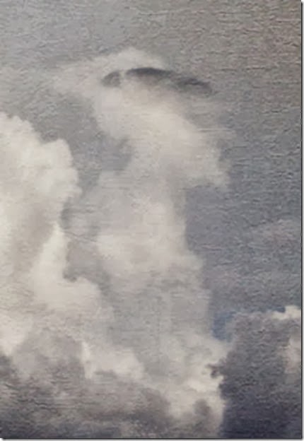 Angel_Closeup