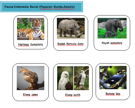 Persebaran Fauna  di Indonesia 