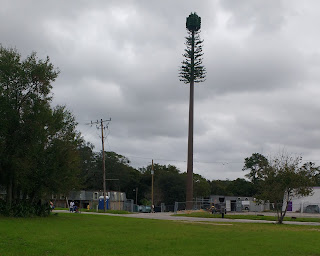 cell tower that looks like a tree