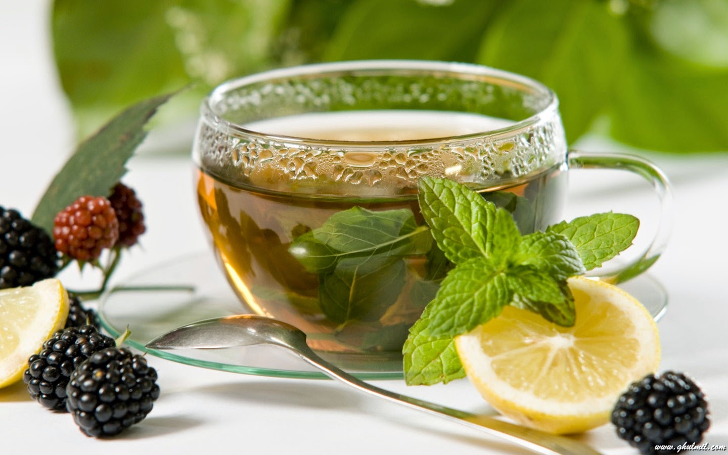 4 Best Green Tea Recipes for Weight Loss at Home