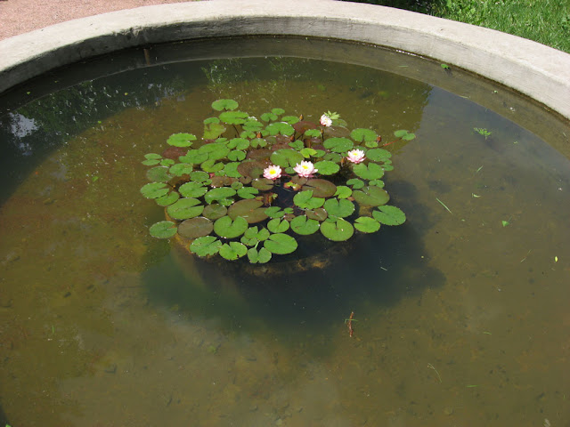 Sofiyivka arboretum in the Uman city