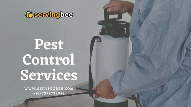 Pest Control Services in Pune