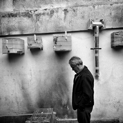 Foto por Ako Salemi - A man sells birds in the cages - serie "Tehran City of Hope and Despair" | imagenes bellas tristes | black and white streetphotography | photos