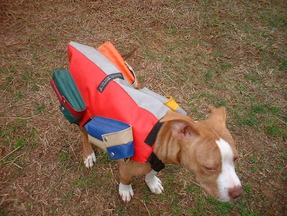 Dog vest with weights